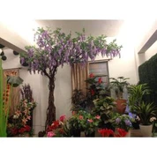 Pohon Wisteria Palsu